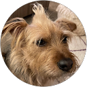 Ryan C. profile picture