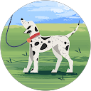 Kim F. profile picture