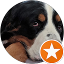 Jaime O. profile picture