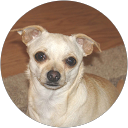 gayelene S. profile picture