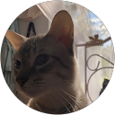 Brittany R profile picture