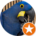 aimee S. profile picture