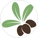 Shea S. profile picture