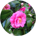 Ashton H. profile picture