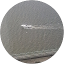 Kali C. profile picture