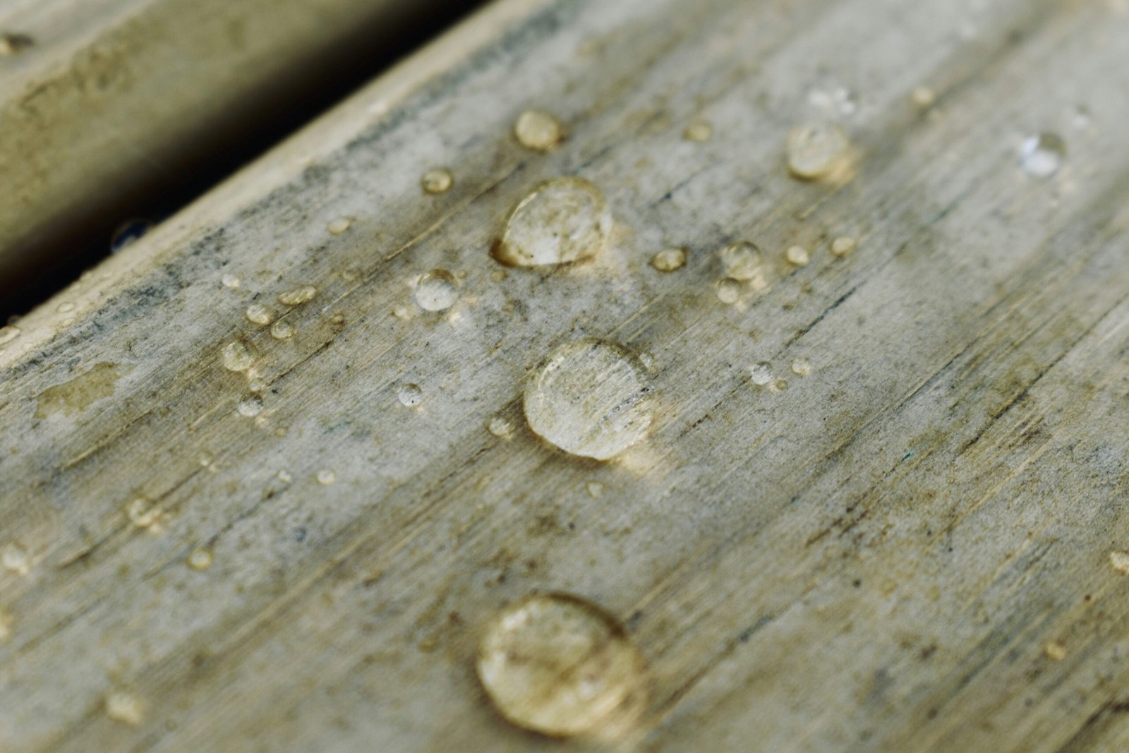 A close up of what to look for when deciding to restain your deck.