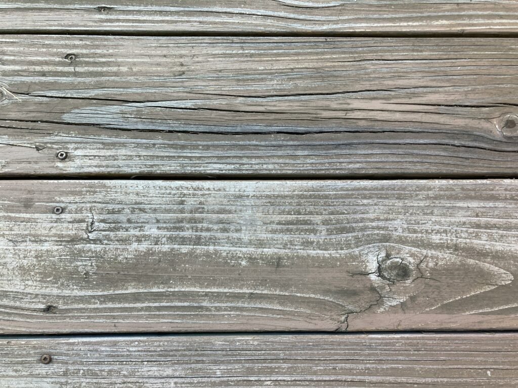 allison-scoffone--SLxbeqTqa4-unsplash