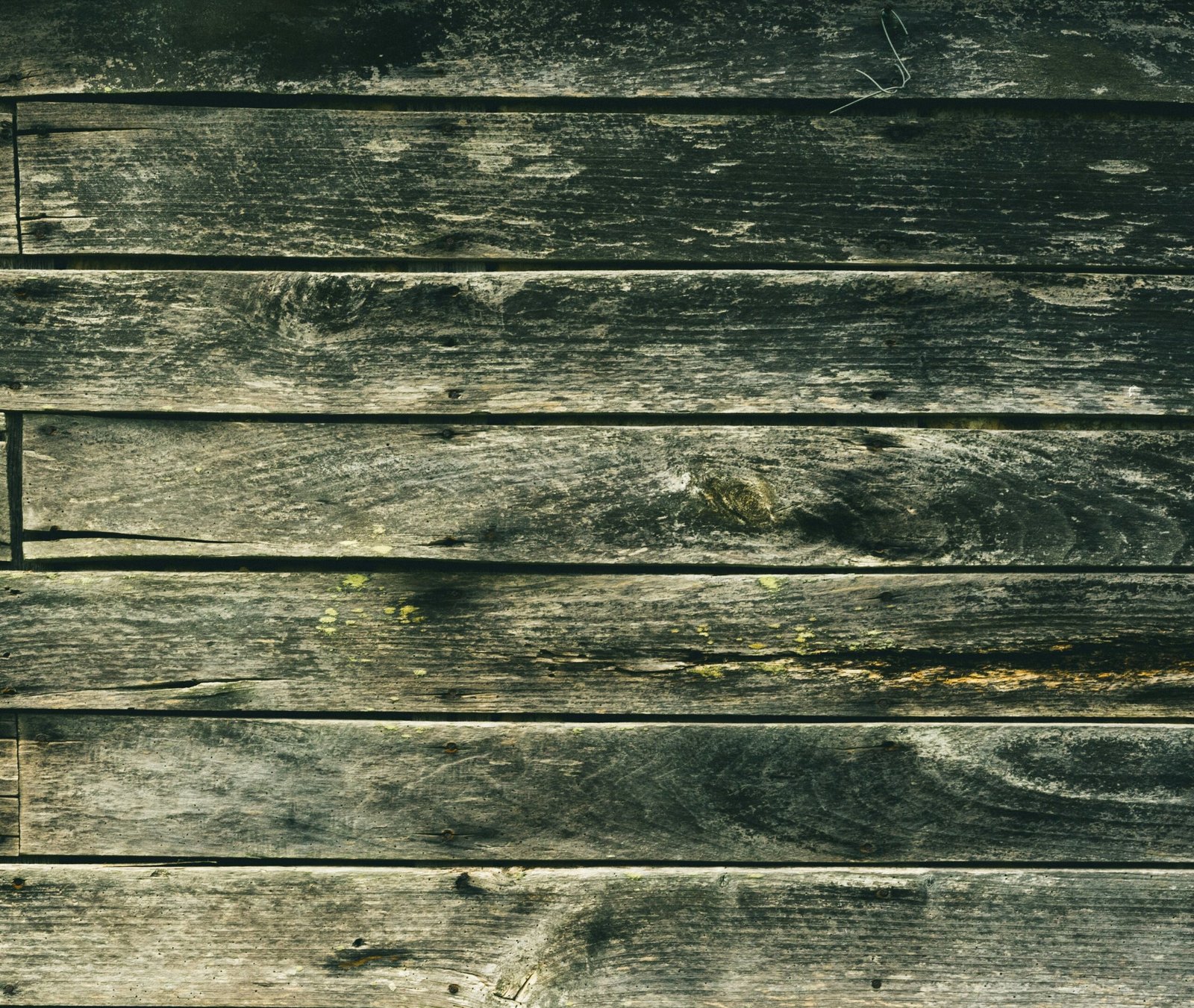 ehud-neuhaus-w5inNVfSyNU-unsplash
