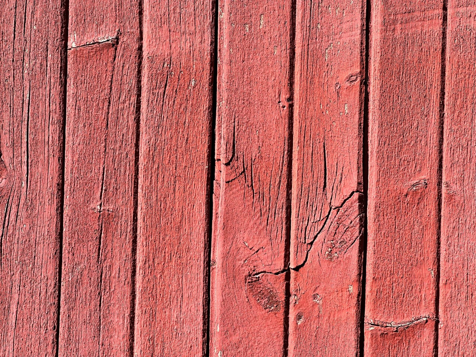 ted-balmer-OawzTMtPjj8-unsplash