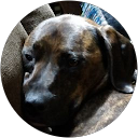 James B. profile picture