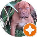 Seminole Hills, Mi Professional House Painters | Paint Ez Of Sterling Heights 2 Troy W. profile picture