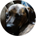 James B. profile picture
