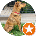 Riverton, Ut Professional House Painters | Paint Ez Of Salt Lake City 1 Andrea S. profile picture