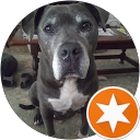 Ted B. profile picture
