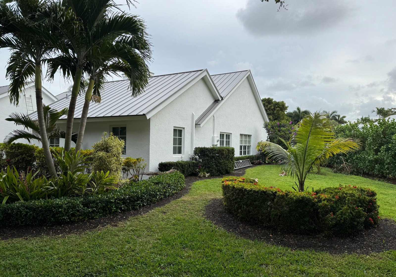 Painted home with palm tree in Florida