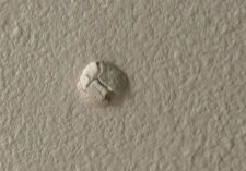 A nail pop in the wall that Paint EZ can repair.
