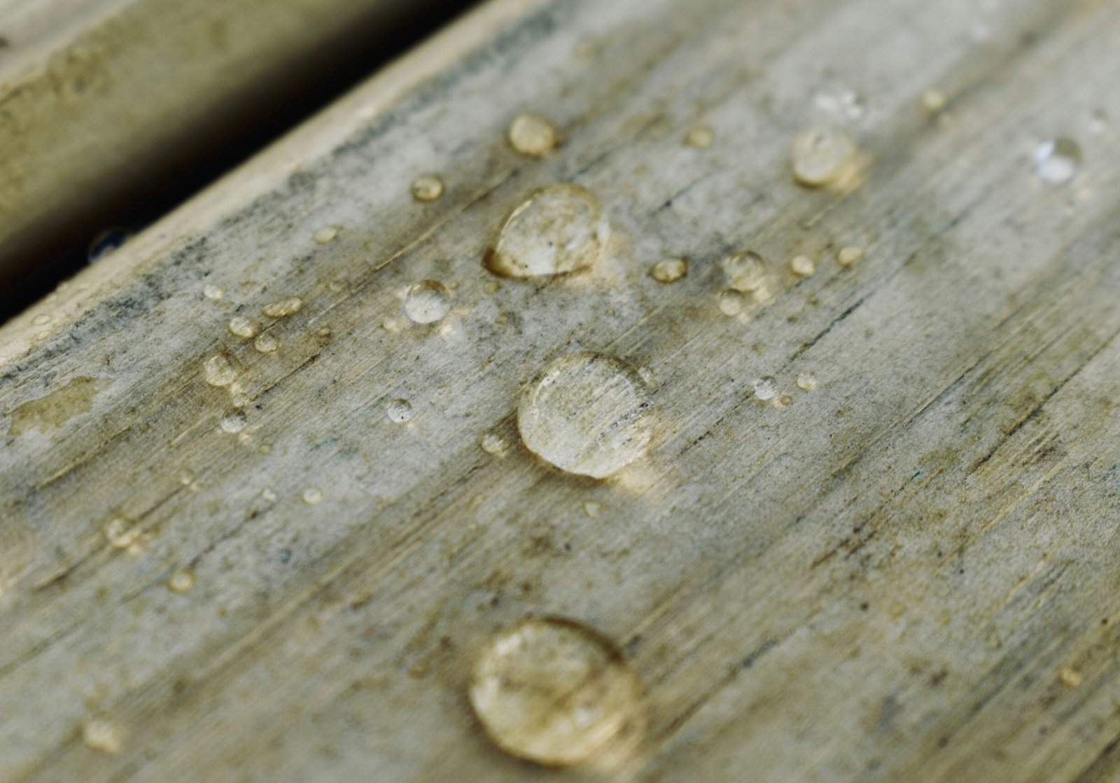 A close up of what to look for when deciding to restain your deck.